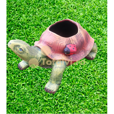 Big turtle