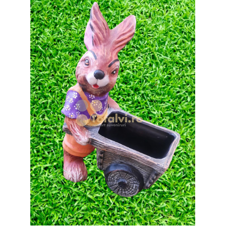  Wheelchair bunny