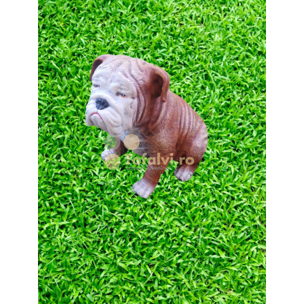 Buldog kutya