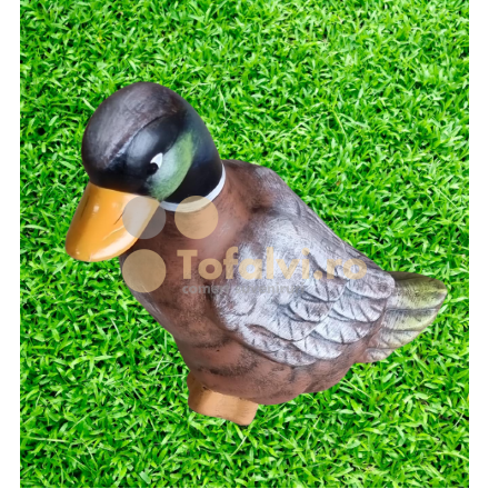 Proud duck