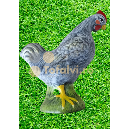Rooster 2