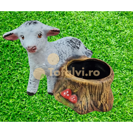 Miel cu ghiveci de flori