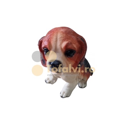 Dog money box