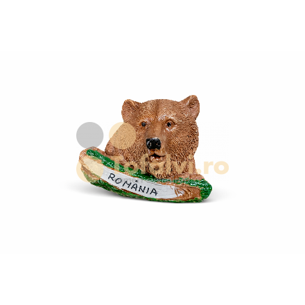 Souvenir Fridge Magnet – Bear Head, Romania