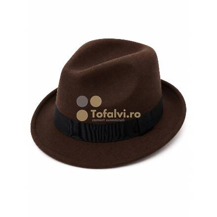 Brown  Hat with Black Band