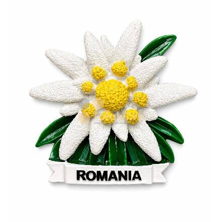 Magnet de frigider – Floare de colț , România12buc/set
