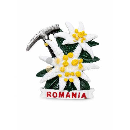 Magnet de frigider – Floare de colț cu piolet, România12buc/set